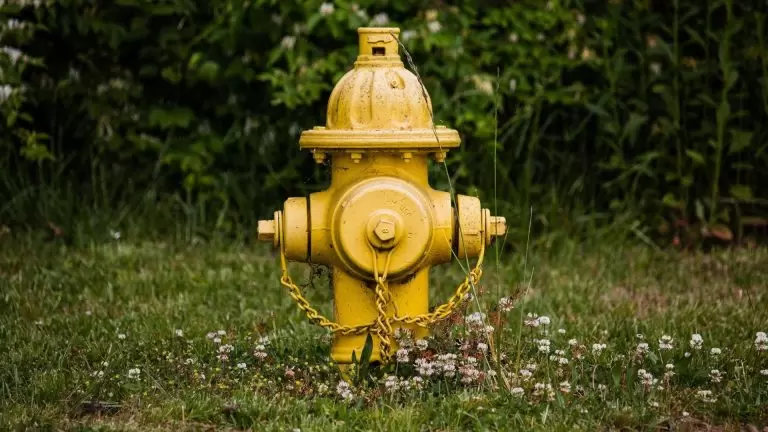 Yellow Fire Hydrant