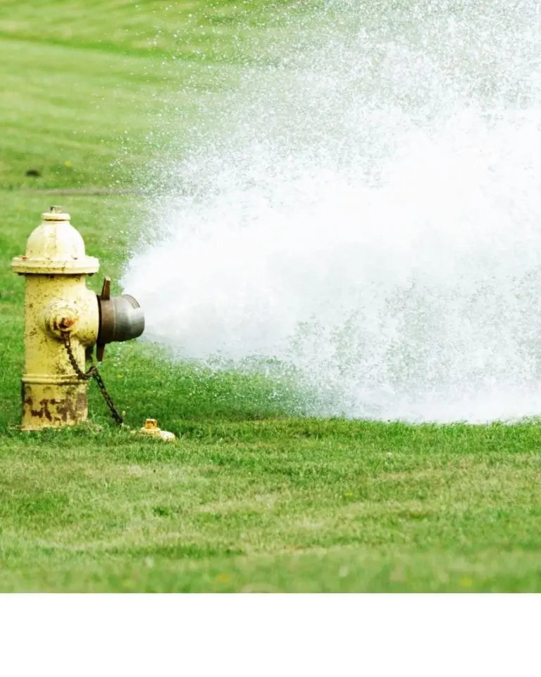 Yellow Fire Hydrant with spray of water coming out onto green grass