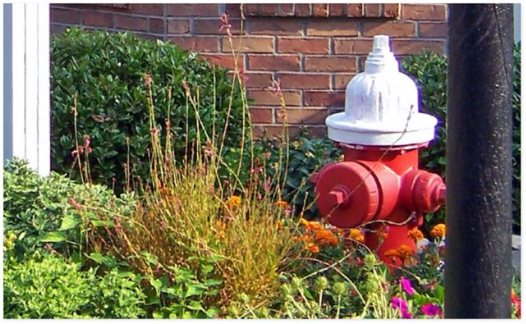 painting fire hydrants job